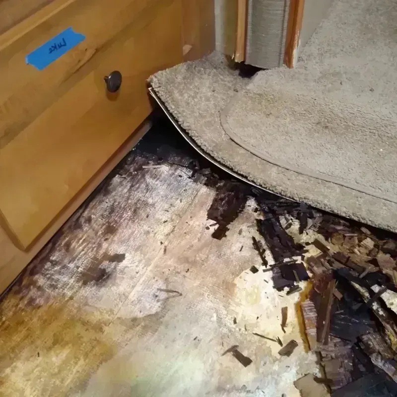 Best Wood Floor Water Damage Service in Chaparral, NM